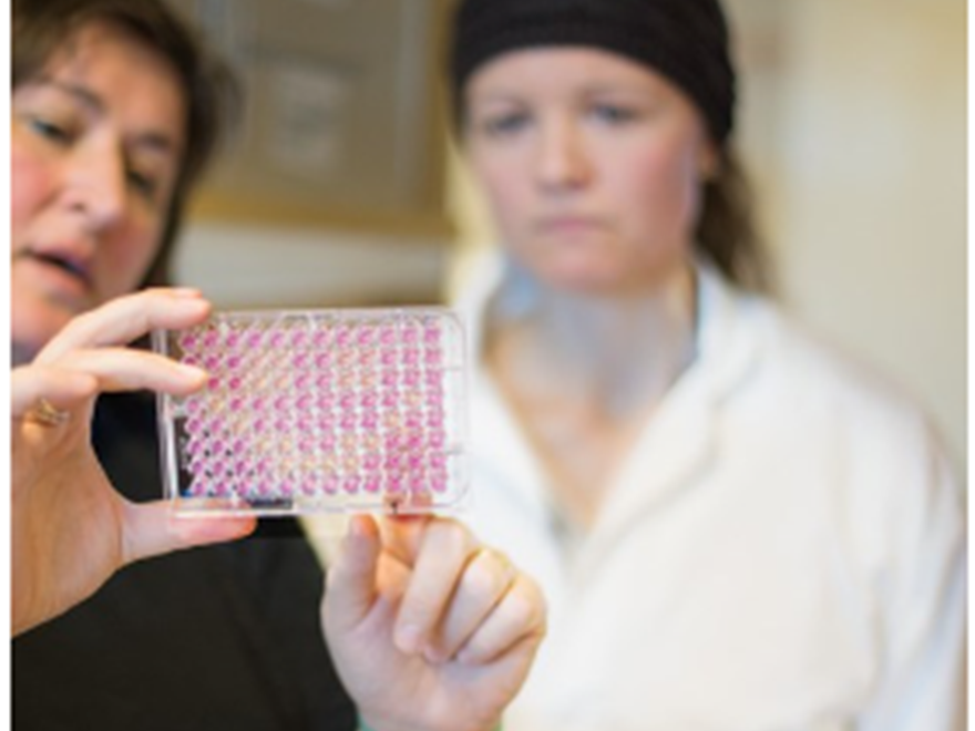 Two researchers (female) in laboratory coats