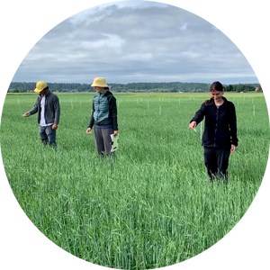 Tre personer står på ett grönt fält och strör ut något ur händerna. Foto.