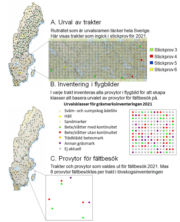 Statistiskt urval