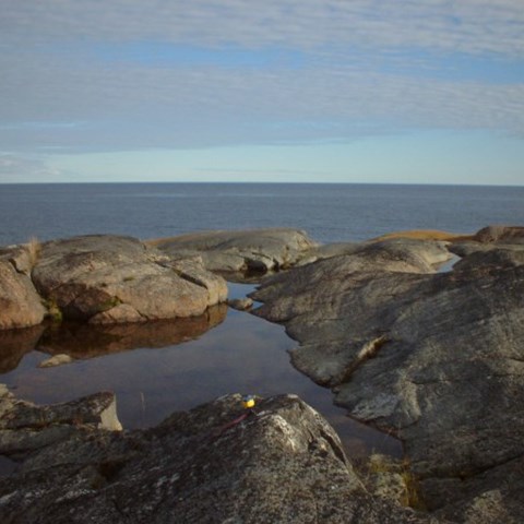 Hällstrand vid havet. Fotograf: Åsa Gallegos Torell