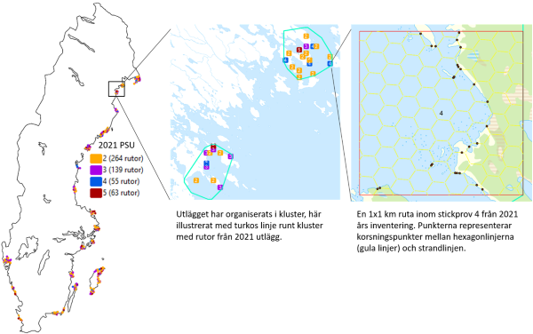 Havsstrand_utlägg_2021.PNG