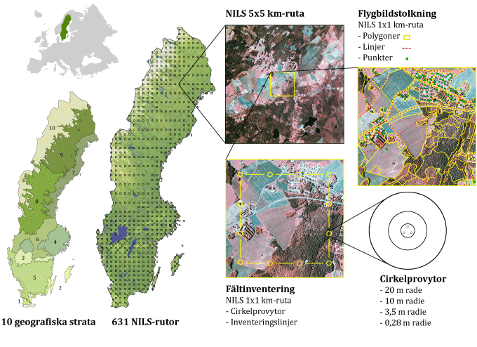 NILS utformning (klicka på bilden för större version i pdf-format).