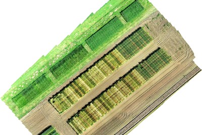 Spectral image over a field. Spectral photo.