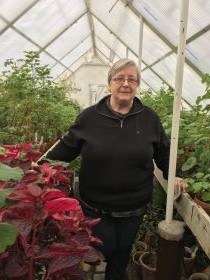 Anita Ireholm står i mittgången av ett mindre växthus. Runt henne syns pelargoner och palettblad.