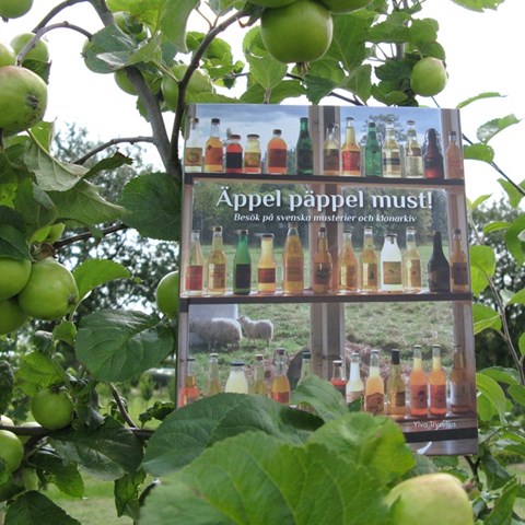 Färgfoto som avbildar framsidan av boken "Äppel, päppel, must". Boken är uppsatt i grenklykan i ett träd och omges av blad från ett äppelträd.