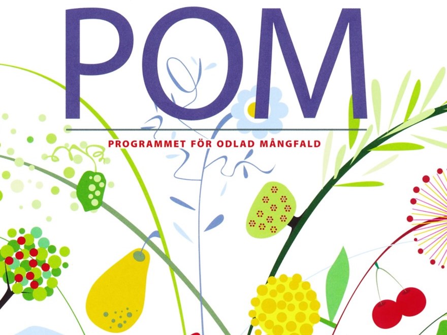 Bilden visar framsidan av broschyen "Pom - Programmet för odlad mångfald". På framsidan är en färgglad och lite naivistisk illustration av frukt, bär, köksväxter och blommor. 