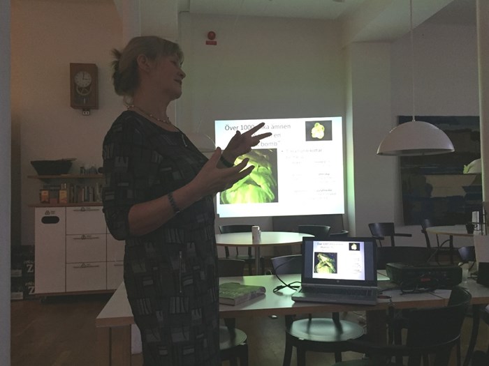 Färgfoto föreställande Else-Marie Strese som har en presentation av sin nya bok "Humle i den svenska nationella genbanken". På fotot står Else-Marie Strese framför en duk med en power point-presentation om humle.