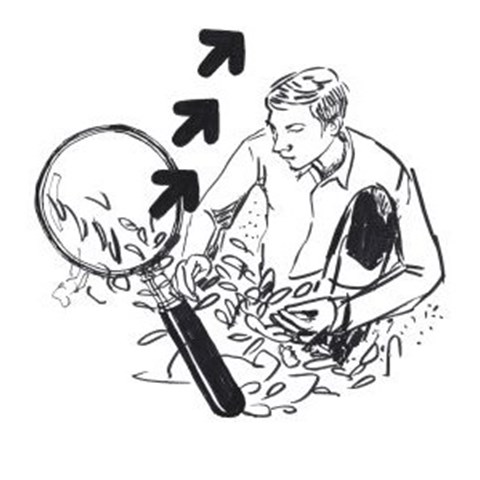 Svartvit illustration som bland annat visar ett förstoringsglas och en man som sitter på huk vid en växt. 
