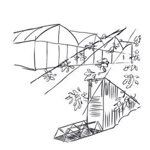 Svartvit illustration som föreställer bland  annat växthus och det globala frövalvet på Svalbard.