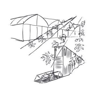 Svartvit illustration som föreställer bland  annat växthus och det globala frövalvet på Svalbard.