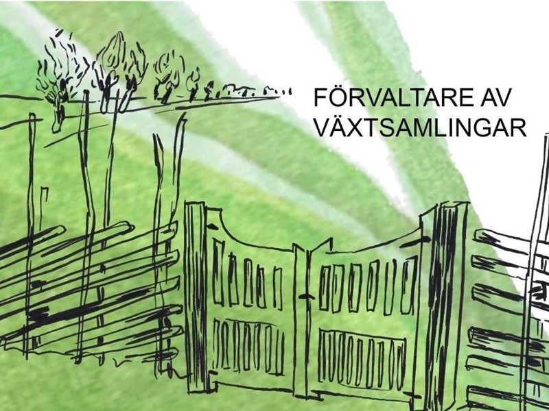 Färgillustration av en öppen grind. I bakgrunden syns en pilevall. 