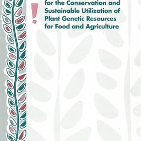 Colour photo showing the cover of the "Global plan of action".