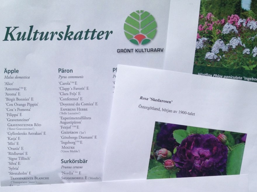 Färgfoto som föreställer ett flertal produktblad för olika Grönt kulturarv-sorter liggande bredvid varandra.