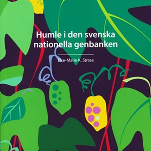 Färgfoto av omslaget till boken "Humle i den svenska nationella genbanken." Omslaget är en illustration i grönt, rött, gult och mörkt lila. Gröna humleplantor slingrar mot en lila bakgrund.