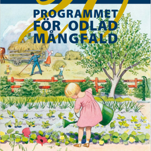 Framsidan av Poms jubileumsbroschyr. På framsidan syns Elsa Beskows månadsbild för "Juli". Illustration i färg. 