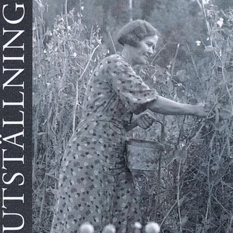 Ett utsnitt ur affischen för utställningen "Kulturarvsväxter för framtidens mångfald". I mitten av affischen ses ett svartvitt foto av en kvinna som plockar ärtor.
