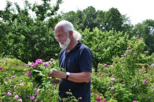 Lars-Åke Gustavsson står i en trädgård. I bakgrunden syns rosor och äppelträd. I handen håller Lars-Åke rosa rosor. 