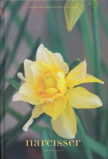 Omslag på boken "Narcisser. Folkkära lökar". På omslaget syns en närbild av en gulblommande narciss. Färgfoto.