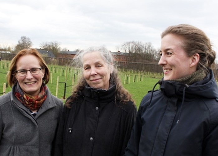 Närbild av Karin Persson, Inger Hjalmarsson och Linnea Oskarsson som står tillsammans i genbanken.