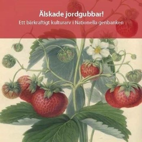 Framsidan av boken "Älskade jordgubbar" med en äldre botanisk illustration av en jordgubbsplanta. 