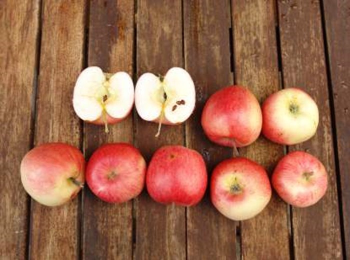 Färgfoto föreställande äpplen av sorten 'Druväpple'. Åtta äpplen ligger på ett bord av trä. En av frukterna är skuren mitt itu så att man ser en genomskärning av frukten. 