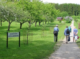 Foto från det lokala klonarkivet för frukt vid Ekebyhov. Fotot föreställer fyra personer som går på en gång. Vid sidan av gången syns äppleträd.