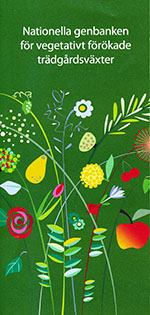 Färgfoto som visar framsidan av foldern "Nationella genbanken för vegetativt förökade trädgårdsväxter". Framsidan är grön med en färgglad illustration av frukt, bär och blommor.