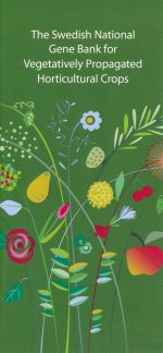 The cover of the folder "The Swedish National Gene Bank for Vegetatively Propagated Horticultural Crops". The cover is green with a colourful illustration with fruits, berries and ornamentals. 
