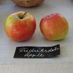 Färgfoto föreställande äpplesorter 'Fredriksdalsäpple'. På fotot syns två äpplen som ligger på ett bord. Framför äpplena ligger en handskriven skylt med sortnamnet.