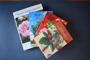 De fyra nya böckerna från Pom ligger samlade på en blå bakgrund.