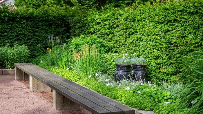 I klonarkivet för prydnadsväxter i Göteborgs botaniska trädgård står två svarta gjutjärnskrukor med fjädernejlikan 'Marieberg'. Framför dem står två bänkar där man kan sitta och njuta av doften. 