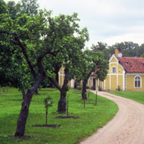 Färgfoto föreställande en del av parken vid Julita. En grusgång slingrar mellan två gräsmattor och i bakgrunden syns ett gult hus.