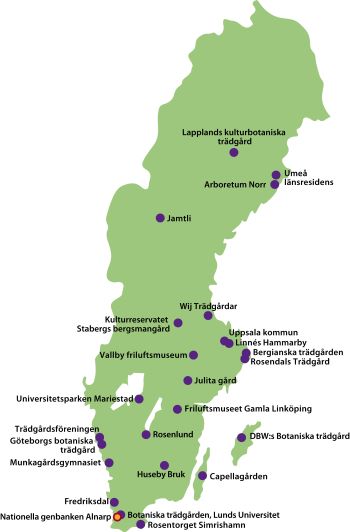 Sverigekarta där de 24 lokala klonarkiven är utmärkta med lila punkter mot den gröna bakgrunden.