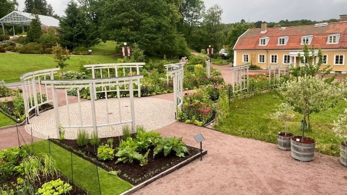 Klonarkivet för köksväxter vid Göteborgs botaniska trädgård är en del av Kulturträdgårdarna. I mitten syns en vit cirkelformad träkonstruktion och framför den växer de fleråriga köksväxterna som ingår i klonarkivet. 