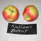 Färgfoto föreställande två äpplen av sorten 'Kullens Favorit'. Äpplena är röda och gröna. Framför dem ligger en handtextad papperslapp med sortnamnet.