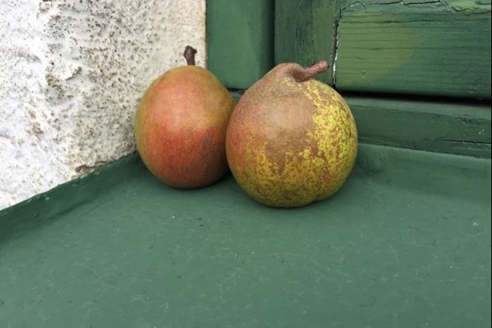 Två frukter av 'Påskpäron' ligger i en grönmålad fönstersmyg. 