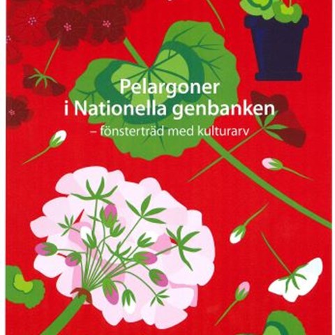 Inskannat omslag av boken "Pelargoner i Nationella genbanken - fönsterträd med kulturhistoria". På omslaget syns tecknade pelargoner i olika färger mot en klarröd botten.