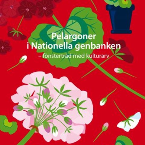 Omslag på boken Pelargoner i Nationella genbanken - fönsterträd med kulturarv. Omslaget är rött med illustrerade pelargoner i olika färger.