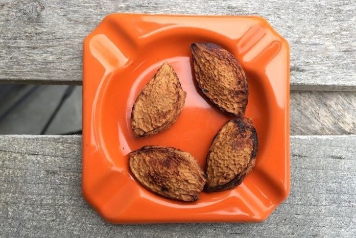 Plommonkärnor ligger i ett orange askfat. 