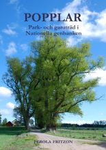Inskannat omslag av boken Popplar. Park- och gatuträd i Nationella genbanken. På omslaget syns en allé med höga marylandspopplar.