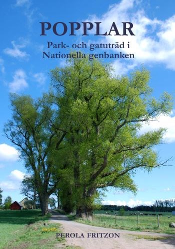 Inskannat omslag av boken Popplar. Park- och gatuträd i Nationella genbanken. På omslaget syns en allé med höga marylandspopplar