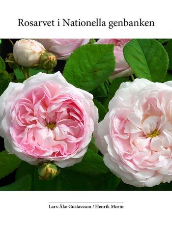 Inskannat omslag av boken Rosarvet i Nationella genbanken. Omslaget är vitt med ett foto av två ljust rosa rosor. 
