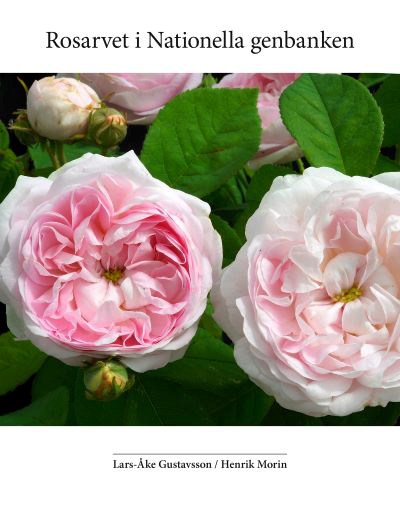 Framsidan på boken Rosarvet i Nationella genbanken. Omslaget är vitt med ett stort foto av ljust rosa rosor.