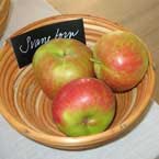 Färgfoto som visar äpplen av sorten 'Svanetorp'. Tre äpplen ligger i en träskål. I skålen finns en handskriven papperslapp med sortnamnet.