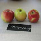 Färgfoto som visar tre äpplen av sorten 'Tornpipping'. Äpplena är röda och gröna och ligger upplagda på rad på ett bord. Framför dem ligger en handskriven papperslapp med sortnamnet. 