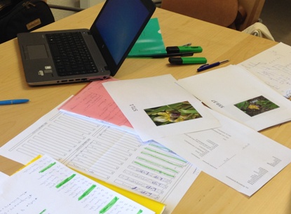 Färgfoto som illustrerar arbetet med urval av växter till genbanken. På ett bord ligger papper med foton och beskrivningar av olika irisar. Bredvid dem står en bärbar dator.