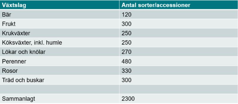 Växtslag i Nationella genbanken.jpg