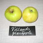 Villands glasäpple