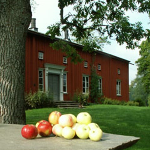 Färgfoto föreställande det lokala klonarkivet vid von Echstedtska apelgården i Värmland. I mitten av fotot syns en hög med äpplen, upplagda på ett trädgårdsbord. I bakgrunden syns den rödmålade huvudbyggnaden på von Echstedska gården.