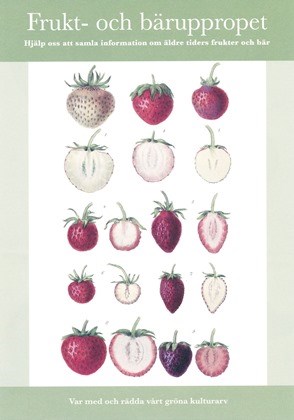  Framsidan på frukt- och bäruppropets folder. På omslaget syns äldre botaniska illustrationer av smultron i många olika färger och storlekar.